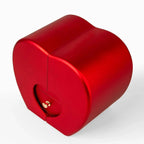 Rosa Preservada + Collar “Te Amo” en 100 Idiomas