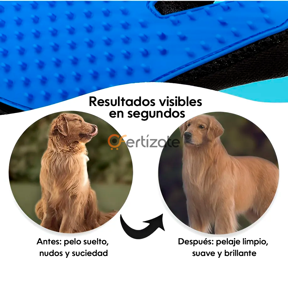 Kit Premium Antipelos – Rodillo Reutilizable + Manopla para Mascotas (Regalo)