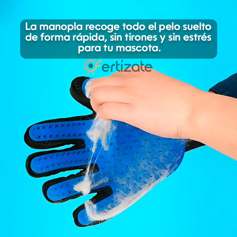 Kit Premium Antipelos – Rodillo Reutilizable + Manopla para Mascotas (Regalo)